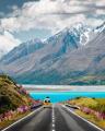 Summer in full swing on the South Island of New Zealand.