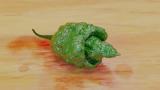 C[A]rolina reaper chili pepper