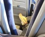Great example of First World Poverty seen on the train this morning