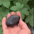 Carving a lobster claw out of a black rock