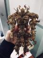 A creature made entirely of cicada shells.