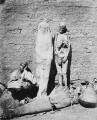 Mummies for sale, circa 1865.