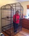 Grandma will be locked in this cage until Montgomery has 20 carries in a game. Please help her Nagy!