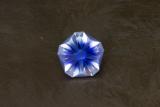 A two-tone floral cut lab created sapphire. It has a blue core radiating out to a near-white exterior.