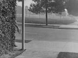 Harold Lloyd walking his dog