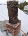 Tearing down chimney reveals 25 generations of bird nests