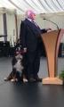 The president of Ireland always has his dog around him.