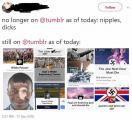 The tumblr nipple ban
