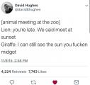[Request] how much of a difference would there be between the giraffe and the lion and would it actually make the giraffe late? (Repost because of forgotten tag)