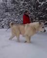 Just taking her Polar bear out for a walk