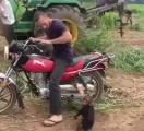 Chimp goes bananas after being kicked off bike