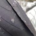 Snowflake on a crow’a wing