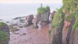 ~100 billion tons of water twice a day: The Hopewell Rocks in the Bay of Fundy have one of the highest average tides in the world - up to 16 metres (52 ft)