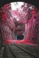 Tunnel of Love