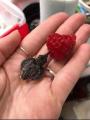 This is a baby hummingbird drinking juice from a raspberry