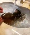 Just a monkey taking a bath