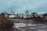 Abandoned presidents heads in a rural Virginia field.
