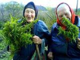 Two old eastern european ladies happy with the harvest