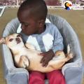 Dog loving his tiny human