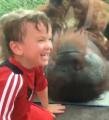 Boy and an Orangutan