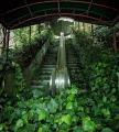 These Escalators Reclaimed By Nature