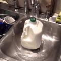 Milk protection