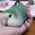 Warm hand to go sleepy time in