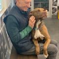 Patrick Stewart is 80 today. Here he is spending some loving time with his rescue pup