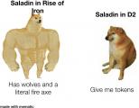 Poor Saladin
