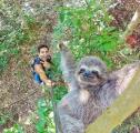 Sloth selfie!