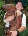 This is a Giant Salamander. This is the animal that was used as reference to make Del Lago from Resident Evil 4