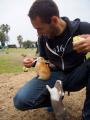 Cute bunny gets fed very gently