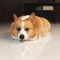 A cute loaf