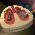 An ashtray from the Singapore Cancer Society