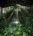 PsBattle: Escalator covered in vegetation