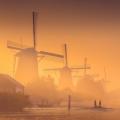 Windmills in the Netherlands (Photo credit to u/rosseepoo)