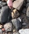 🔥 Hidden fossil found inside rock