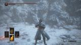 Ready for winter in Ariandel