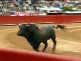 Bull jumps into spectators