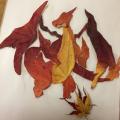 Charizard made from autumn leaves [x-post /r/pokemon]