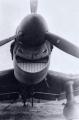 Flying makes you smile - Junkers ju 87