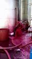 Red wine cat ruptured at Sicilian winery