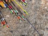 my arrow hit my other arrow (compound 40 yards orange ones are mine)