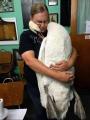 Swan hugs the veterinarian who saved his life