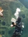 This scuba diver creatively defending himself against a rogue sea turtle