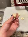 Pregnant garlic