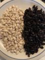 What a cup of mostly sprouted shelled black beans looks like.