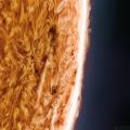 A detailed picture of the sun (Photo Credit: Jason Guenzel)