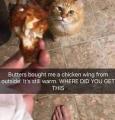 butters, the bringer of chicken wings