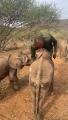 Reteti Elephant Sanctuary